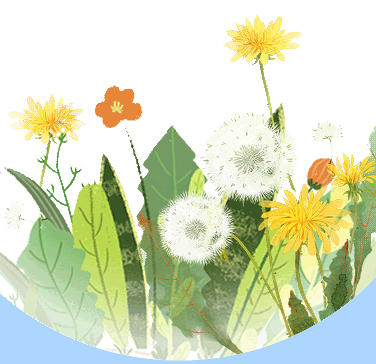 寻芳觅趣正当时,不负Spring光踏歌行 Seeking fragrance and fun is just the right time, not to disappoint the spring outing and singing
