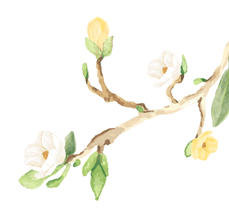 Seeking fragrance and fun is just the right time, not to disappoint the spring outing and singing Seeking fragrance and fun is just the right time, not to disappoint the spring outing and singing