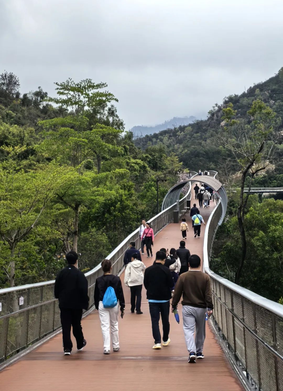 Seeking fragrance and fun is just the right time, not to disappoint the spring outing and singing Seeking fragrance and fun is just the right time, not to disappoint the spring outing and singing