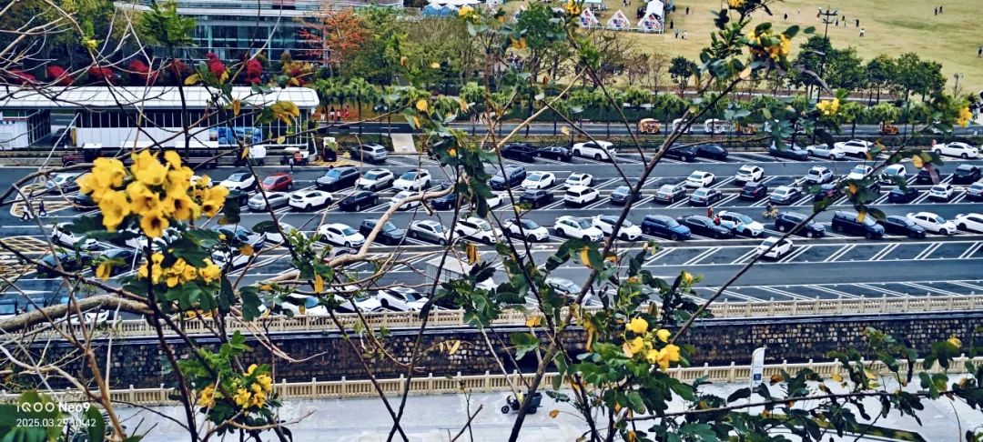 Seeking fragrance and fun is just the right time, not to disappoint the spring outing and singing Seeking fragrance and fun is just the right time, not to disappoint the spring outing and singing