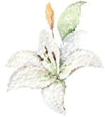 Seeking fragrance and fun is just the right time, not to disappoint the spring outing and singing Seeking fragrance and fun is just the right time, not to disappoint the spring outing and singing