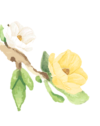 Seeking fragrance and fun is just the right time, not to disappoint the spring outing and singing Seeking fragrance and fun is just the right time, not to disappoint the spring outing and singing