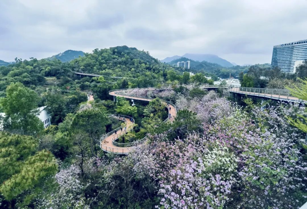 Seeking fragrance and fun is just the right time, not to disappoint the spring outing and singing Seeking fragrance and fun is just the right time, not to disappoint the spring outing and singing