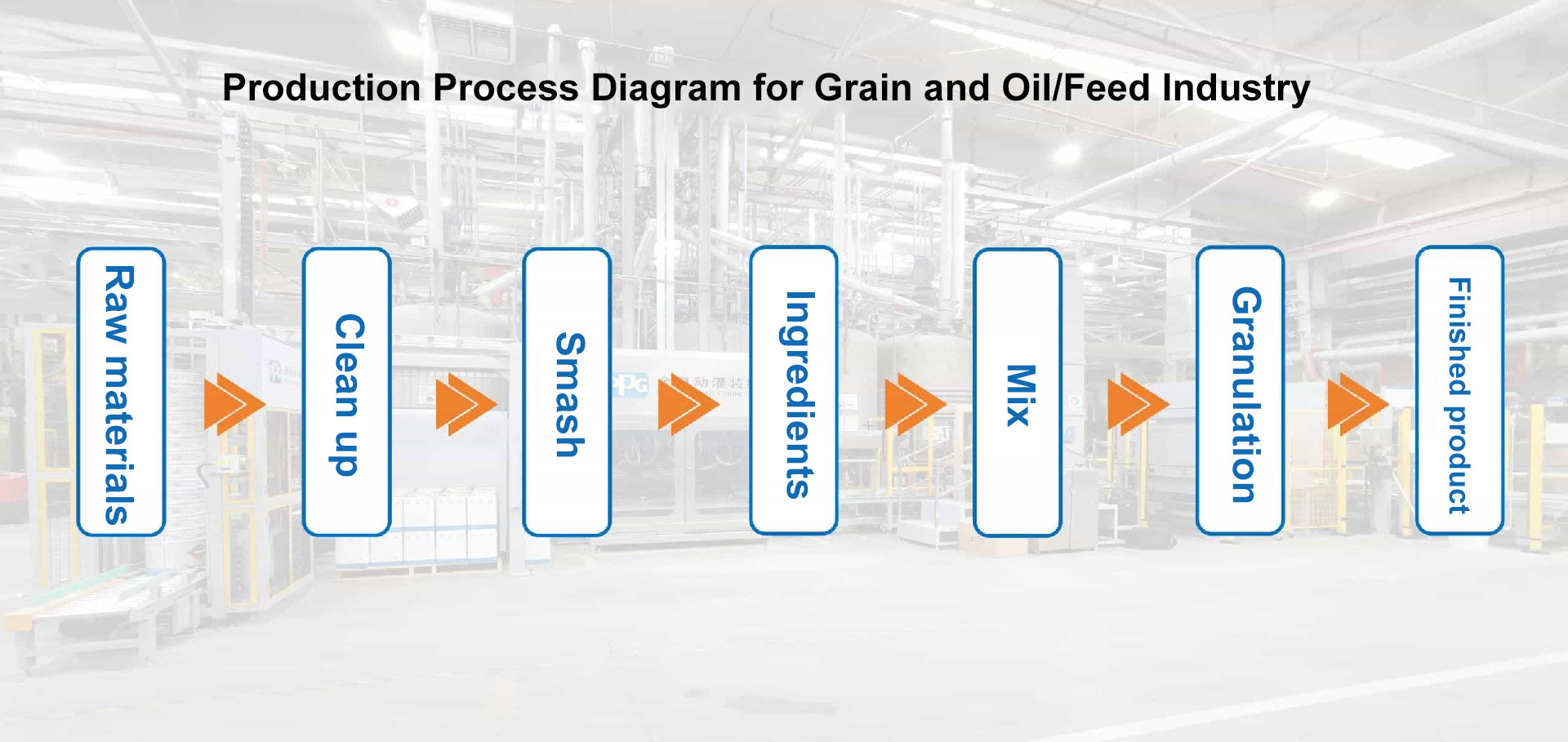 Grain, oil and feed Grain, oil and feed